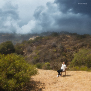 bluebonnets cover art